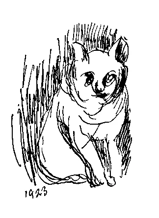 猫の挿絵